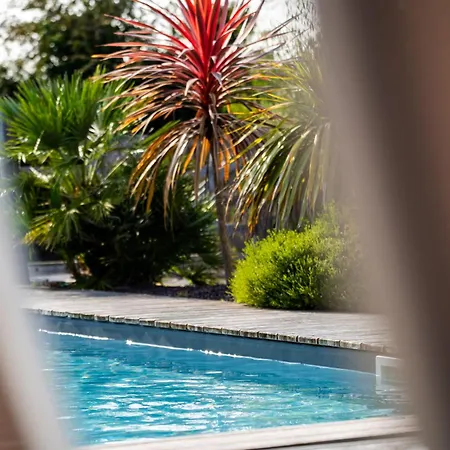 Feriehus Du Cap - Piscine Privee - Sauna - Jardin - Thegoodbnb *
